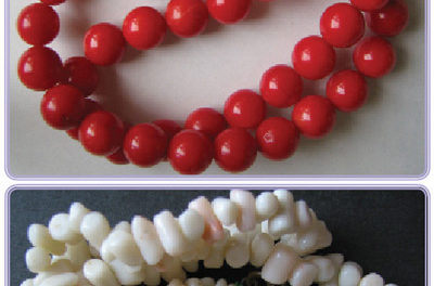 coral-2