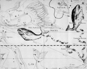 Johannes Hevelius' Pisces from Uranographia (1690)